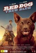 Phim Chú Chó Trung Thành 2 - Red Dog 2: True Blue (2016)