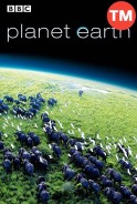 Phim Hành Trình Trái Đất (Thuyết Minh) - Planet Earth (2007)