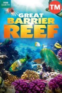 Phim Rặng San Hô (Thuyết Minh) - Great Barrier Reef (2012)