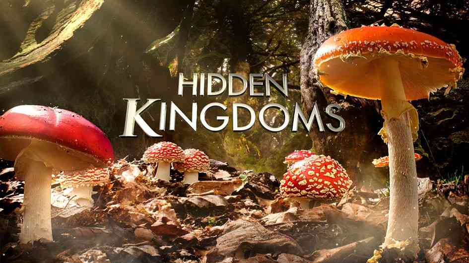 Phim Vương Quốc Bí Ẩn (Thuyết Minh) - Hidden Kingdoms (2009)