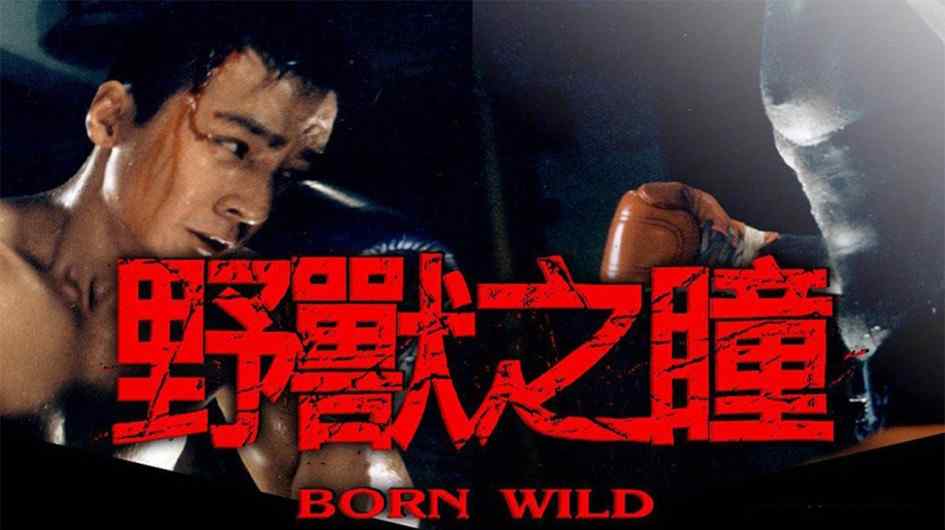 Phim Born Wild - Dã Chiến Giang Hồ (2001)