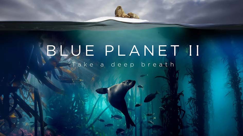 Phim Đại Dương Sâu Thẳm 2 - The Blue Planet 2 (2015)