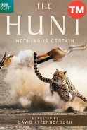 Phim Săn Mồi - BBC: The Hunt (2015)