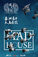 Phim Phong Nhân Viện (Thuyết Minh) - Mad House (2018)